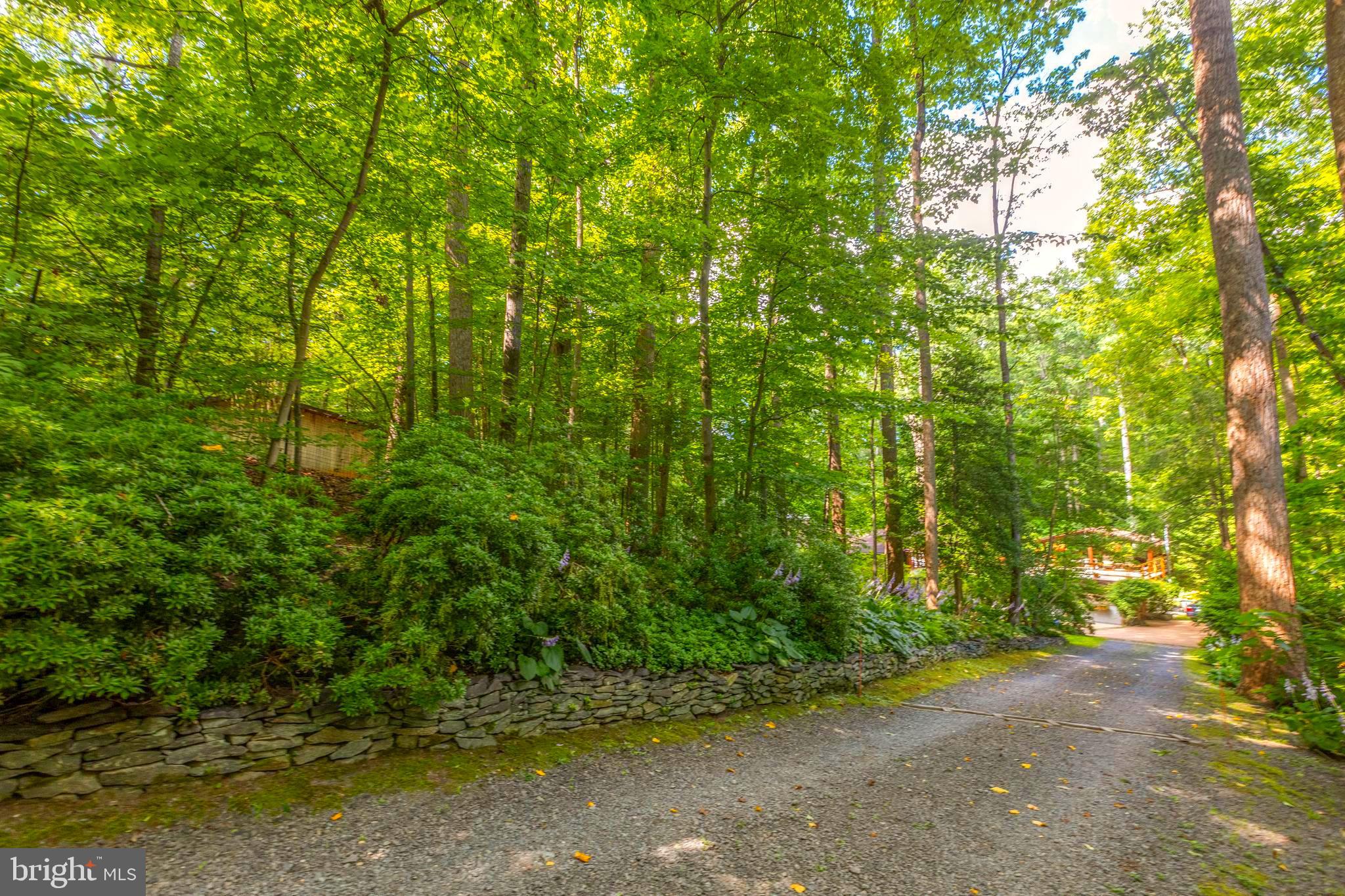 9520 Sagamore Spring Road Great Falls, VA 22066 - Photo 91 of 106 Your Lane to Luxury Living and Happiness!