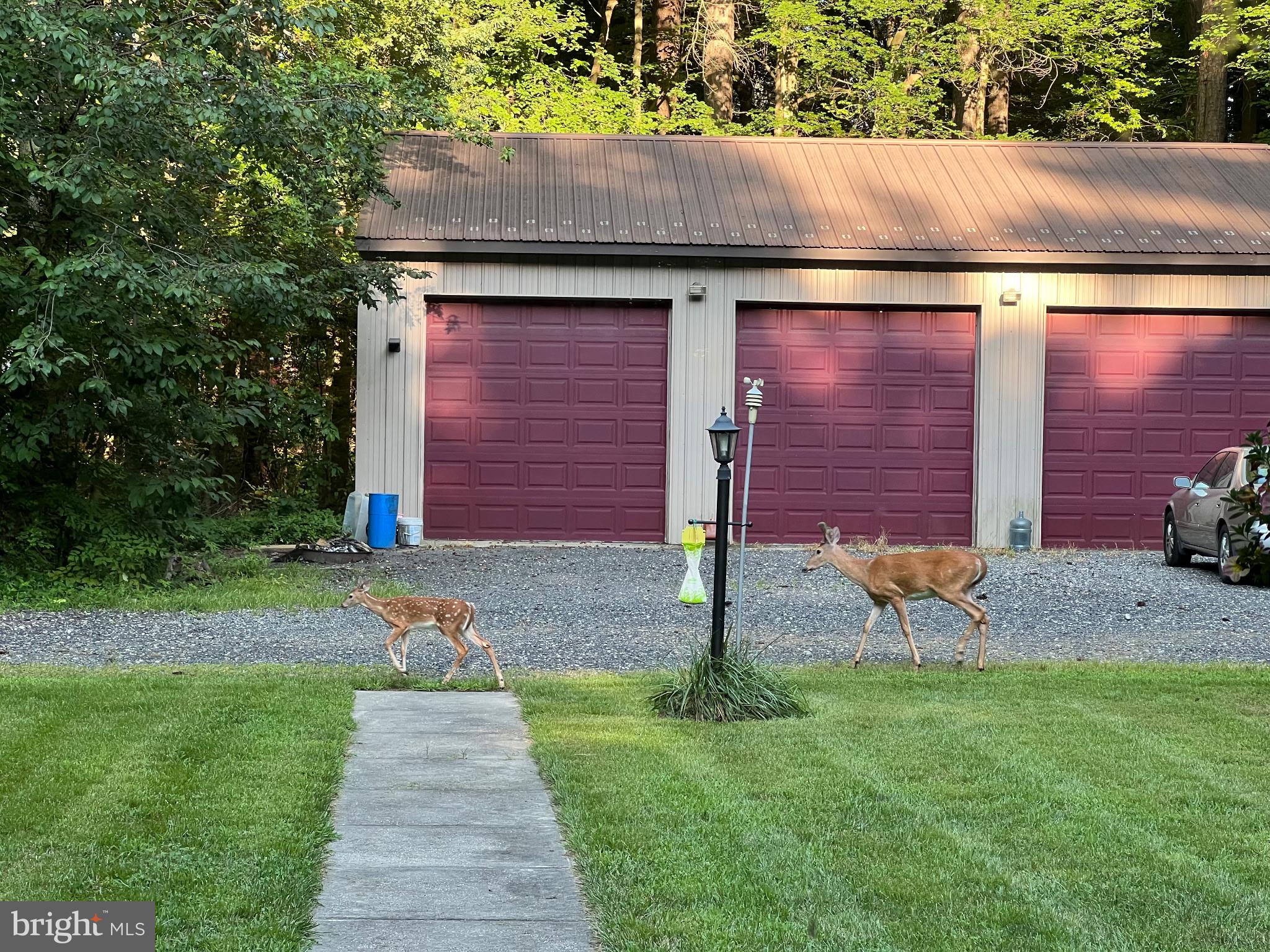 979 Barney Jenkins Road Felton, DE 19943 - Photo 11 of 14
