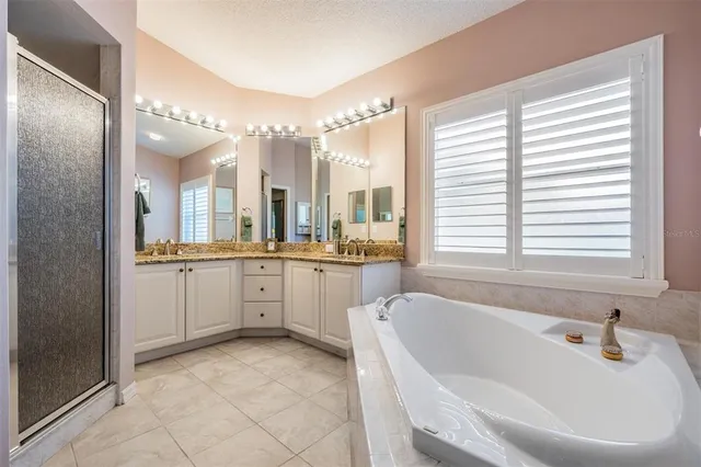 a bathroom with a tub a double vanity sink and mirror