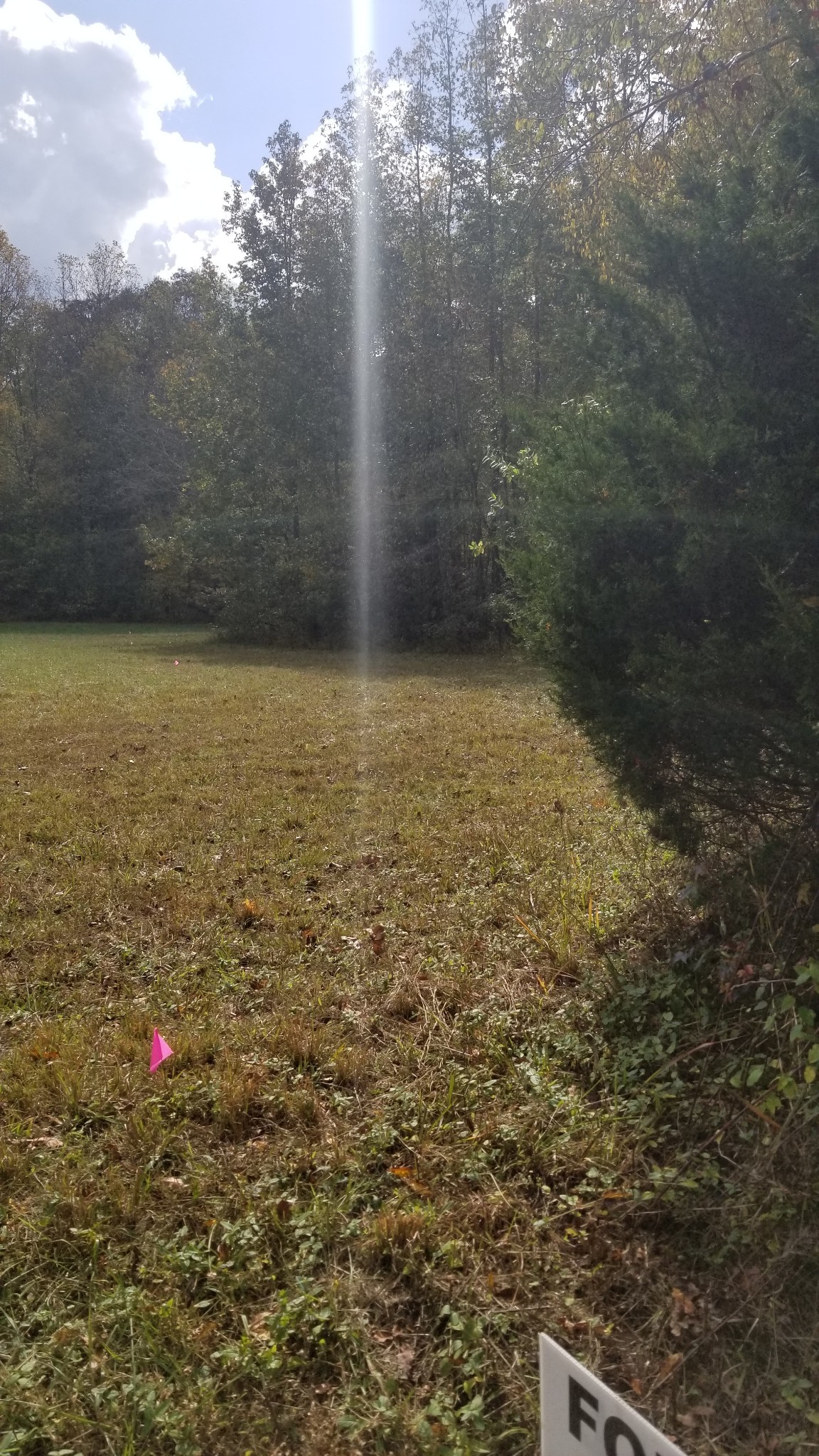 156 Raintree Drive Big Sandy, TN 38221 - Photo 1 of 11 Gallery Image 1