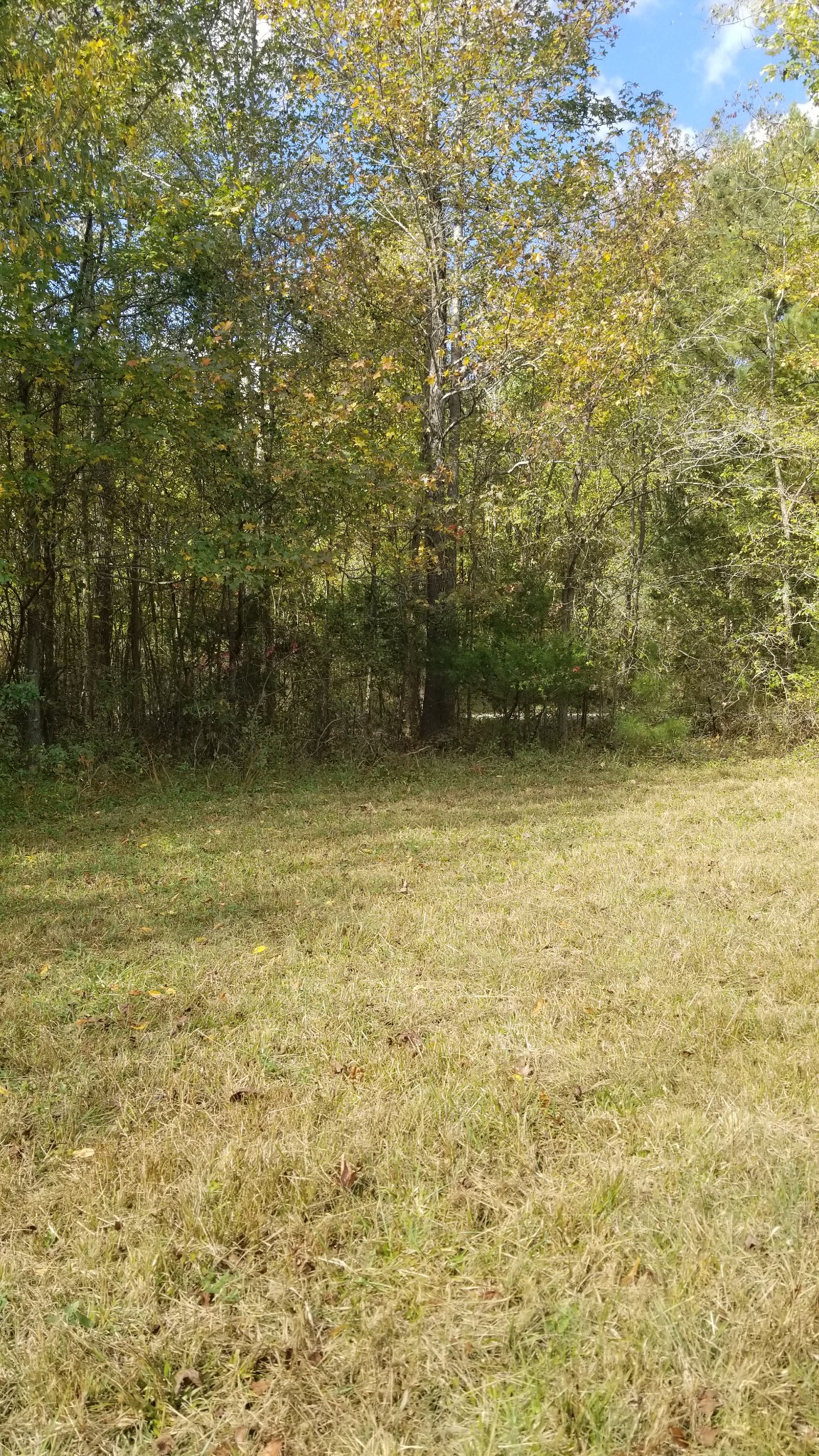 156 Raintree Drive Big Sandy, TN 38221 - Photo 8 of 11 Gallery Image 8