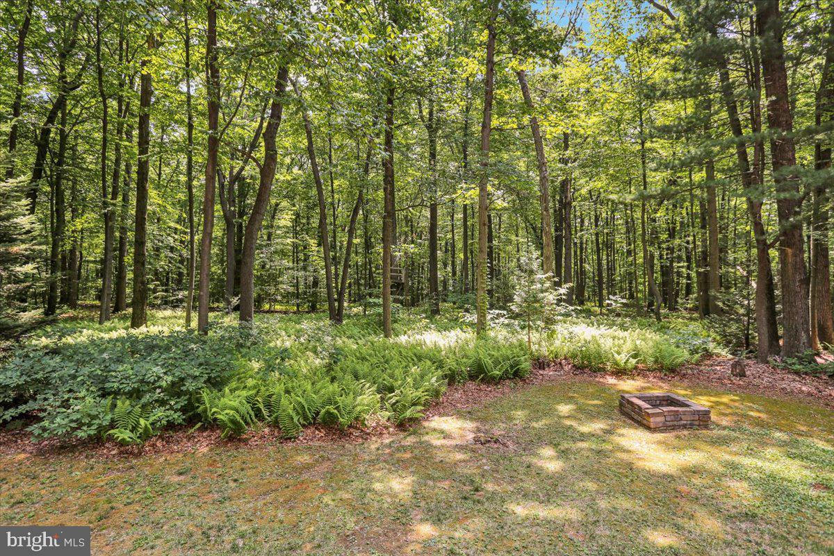 388 Gap Road Macungie, PA 18062 - Photo 35 of 36 Gallery Image 35