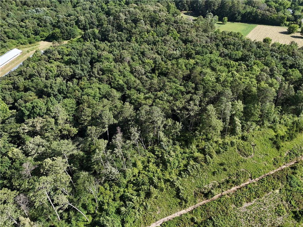 0 Union Grove Church Road Southeast Calhoun, GA 30701 - Photo 6 of 15