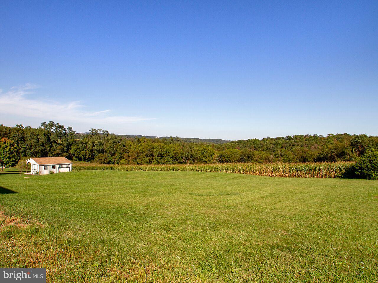 459 Throne Road Fawn Grove, PA 17321 - Photo 39 of 42 Large Rear Yard
