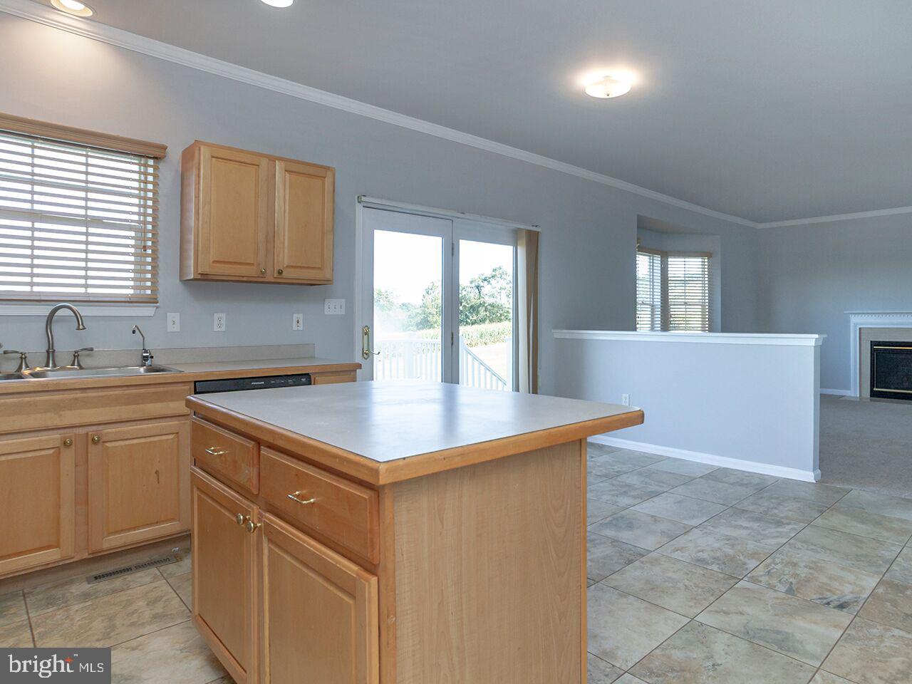 459 Throne Road Fawn Grove, PA 17321 - Photo 5 of 42 Natural Light from Deck Doors