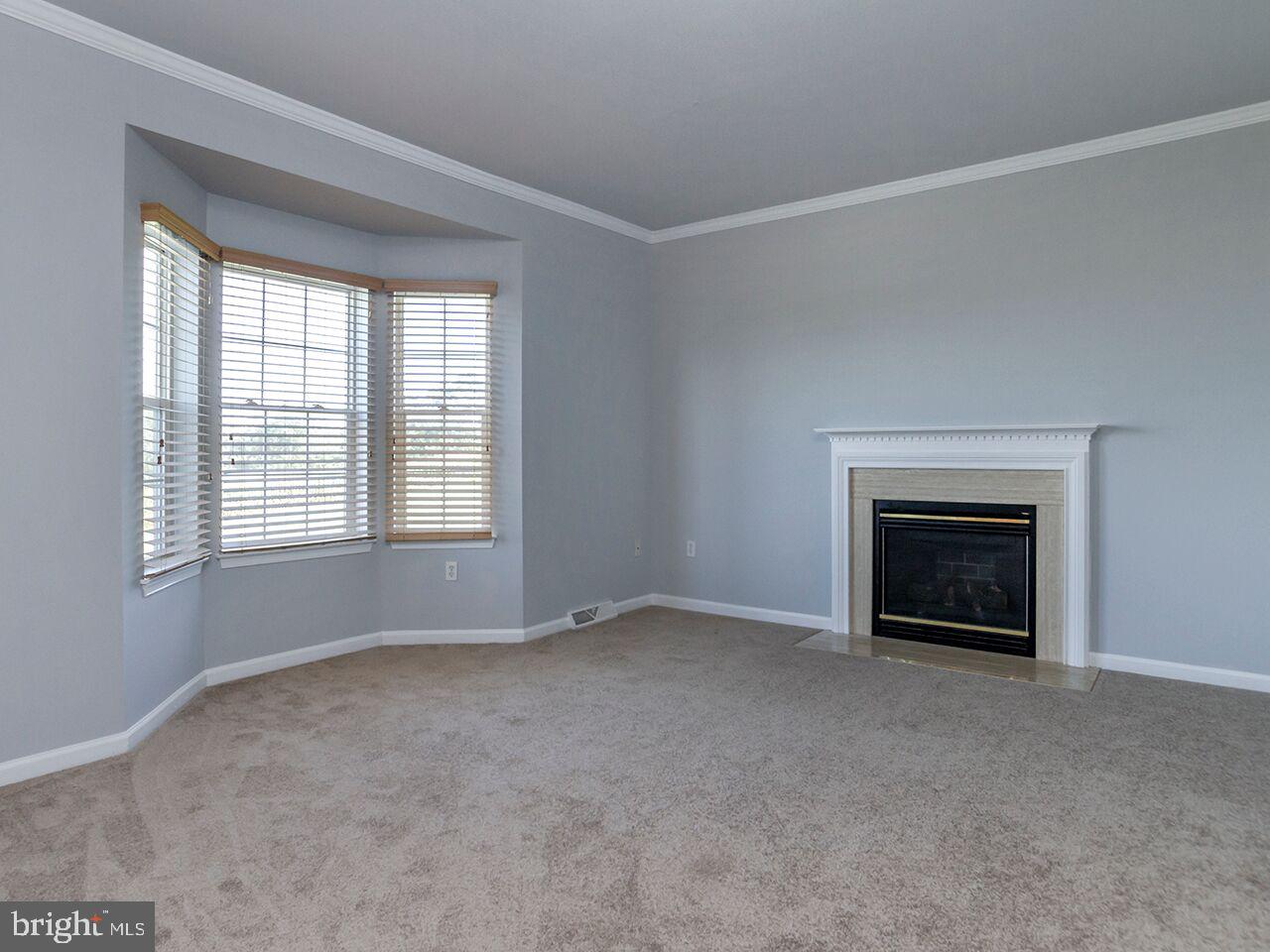 459 Throne Road Fawn Grove, PA 17321 - Photo 9 of 42 Family Room with Bump Out Window and Gas Fireplace