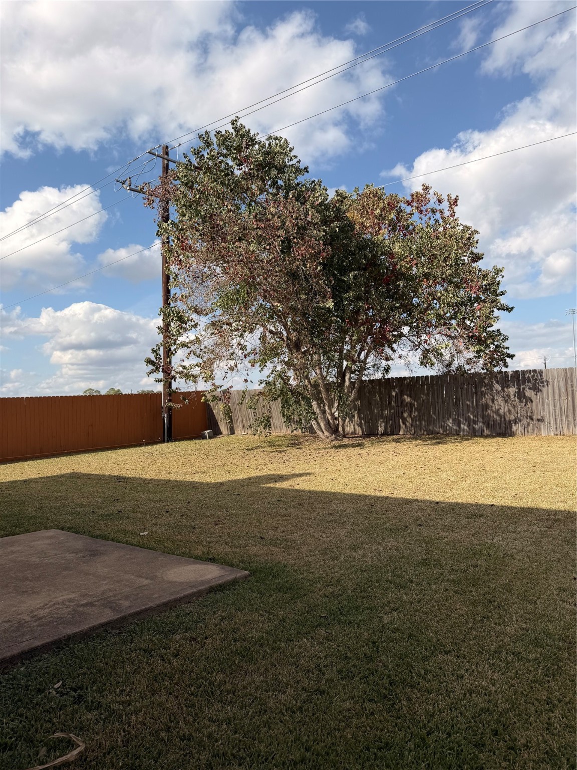 4707 East Parma Drive Rosenberg, TX 77471 - Photo 24 of 24 a view of an outdoor space and yard