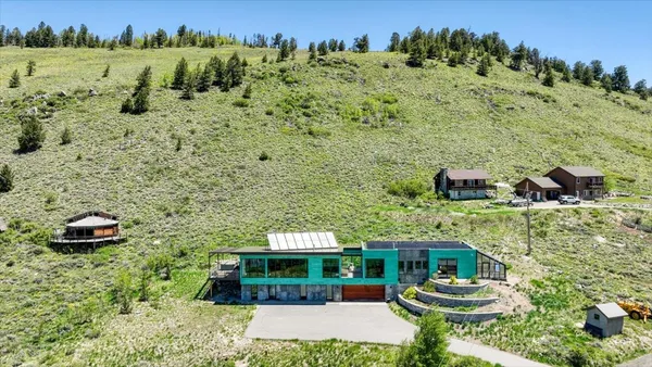 a view of a big yard with potted plants and large tree