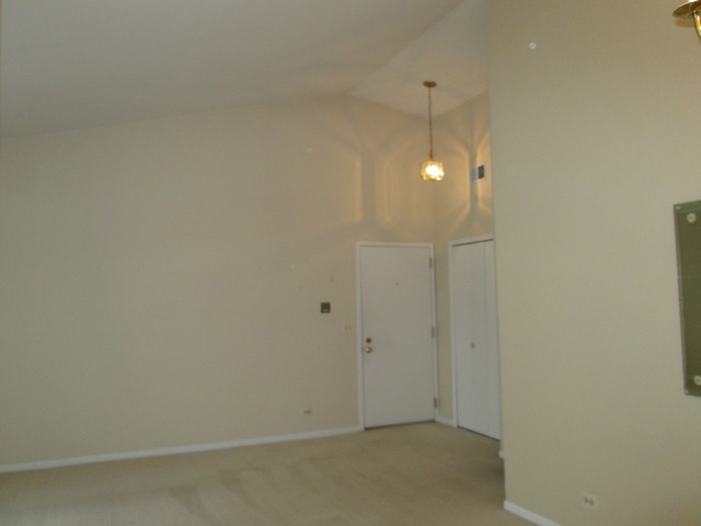 2426 Raleigh Court, Unit 6 Schaumburg, IL 60193 - Photo 16 of 18 a view of a bathroom
