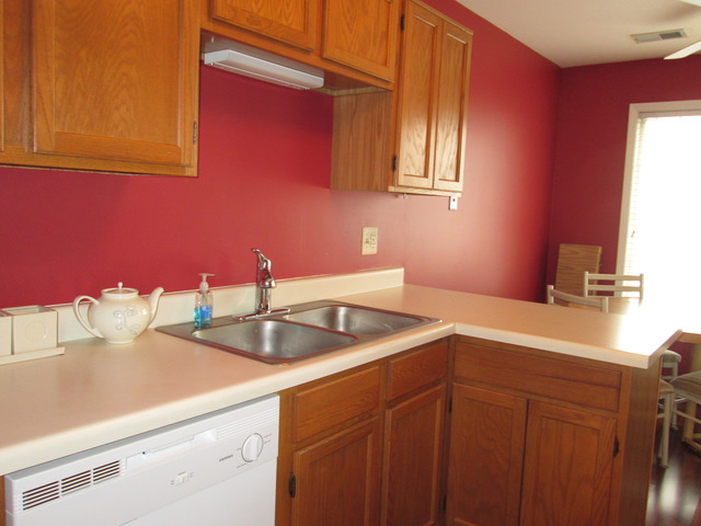 2426 Raleigh Court, Unit 6 Schaumburg, IL 60193 - Photo 5 of 18 a kitchen with a sink cabinets and a window