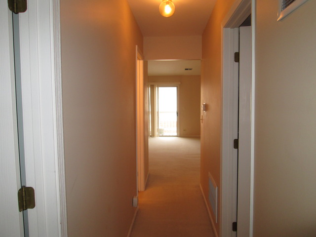 2426 Raleigh Court, Unit 6 Schaumburg, IL 60193 - Photo 8 of 18 a view of a bathroom from a hallway