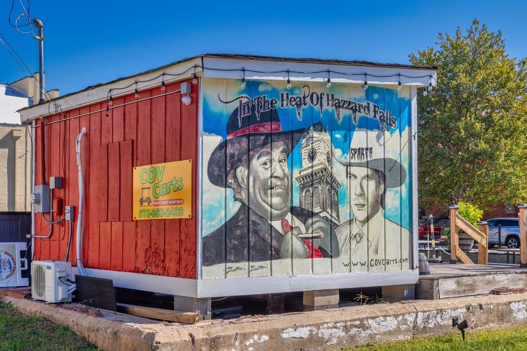 1297 P J East Road Covington, GA 30014 - Photo 44 of 50