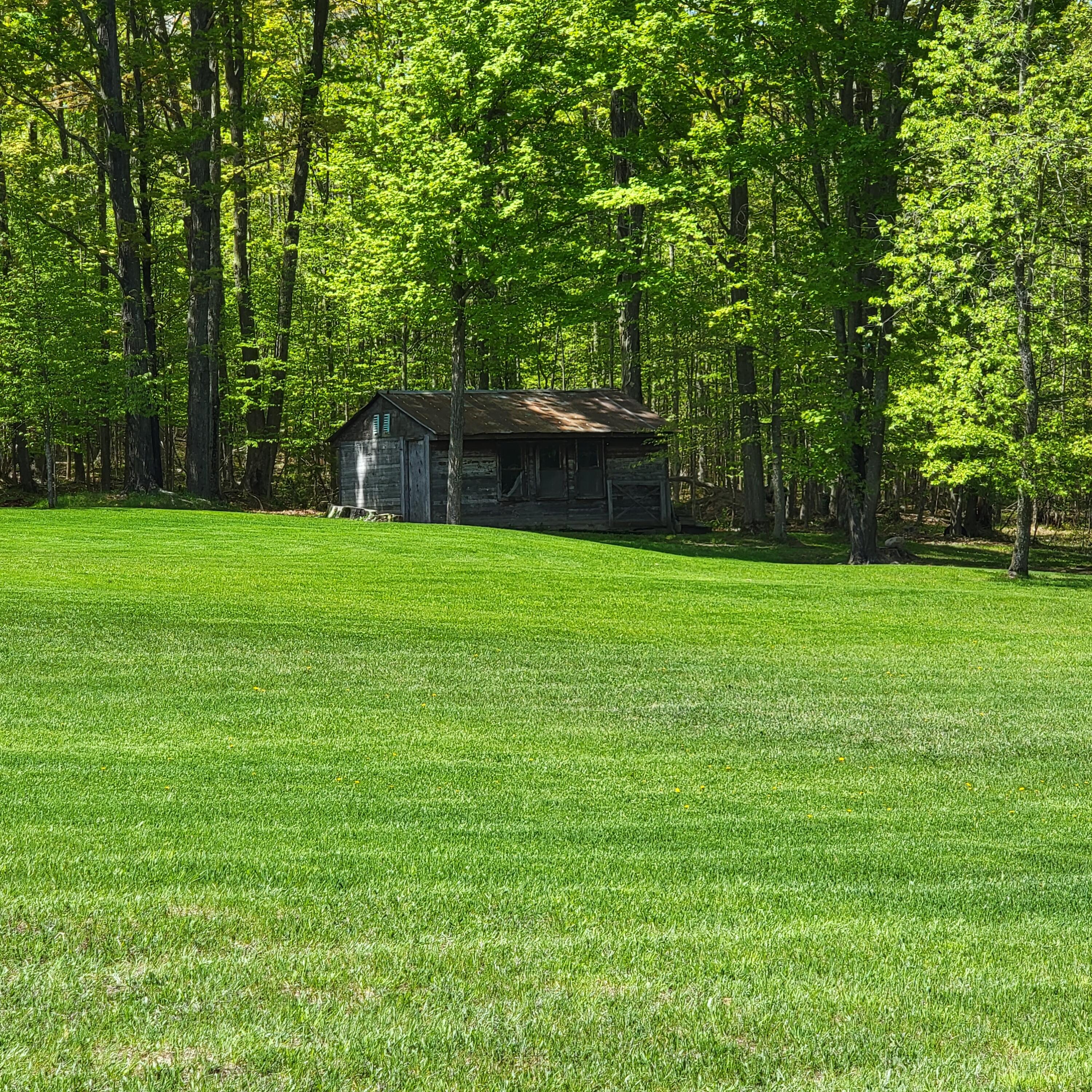 8155 Tucker Road Onaway, MI 49765 - Photo 50 of 57 Gallery Image 50