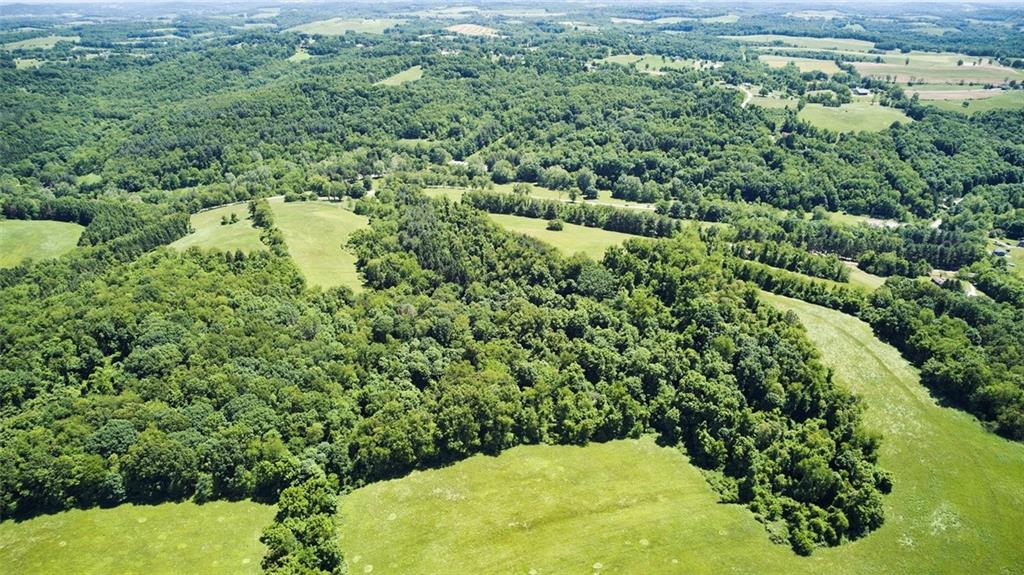720 Sugar Run Road Eighty Four, PA 15330 - Photo 8 of 13 a view of a forest with a houses