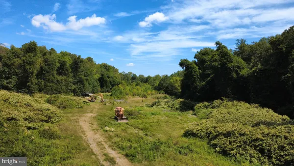 a view of a bunch of trees and bushes