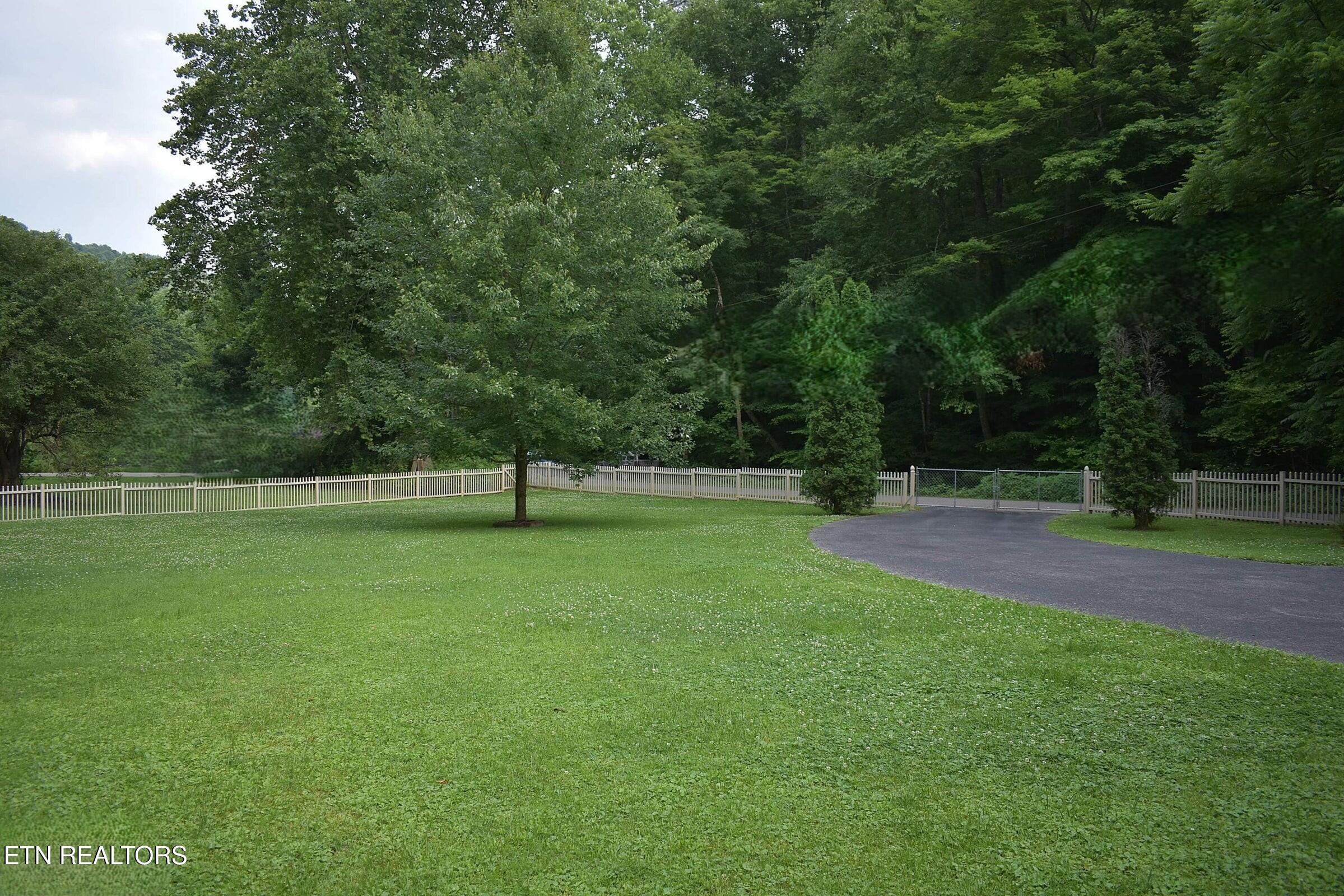 239 Sulphur Springs Road Cranks, KY 40820 - Photo 5 of 23 frontyard2026