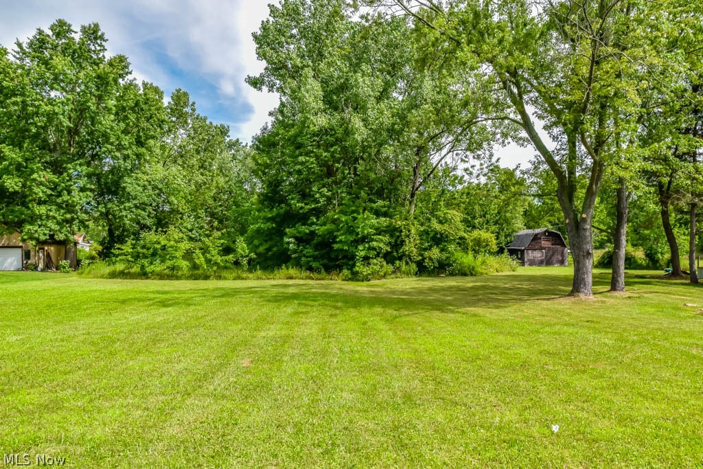 3703 Johnson Road Norton, OH 44203 - Photo 21 of 24 Huge side yard!
