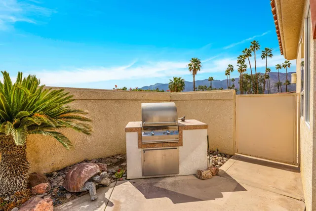 a view of an ocean and a mountain