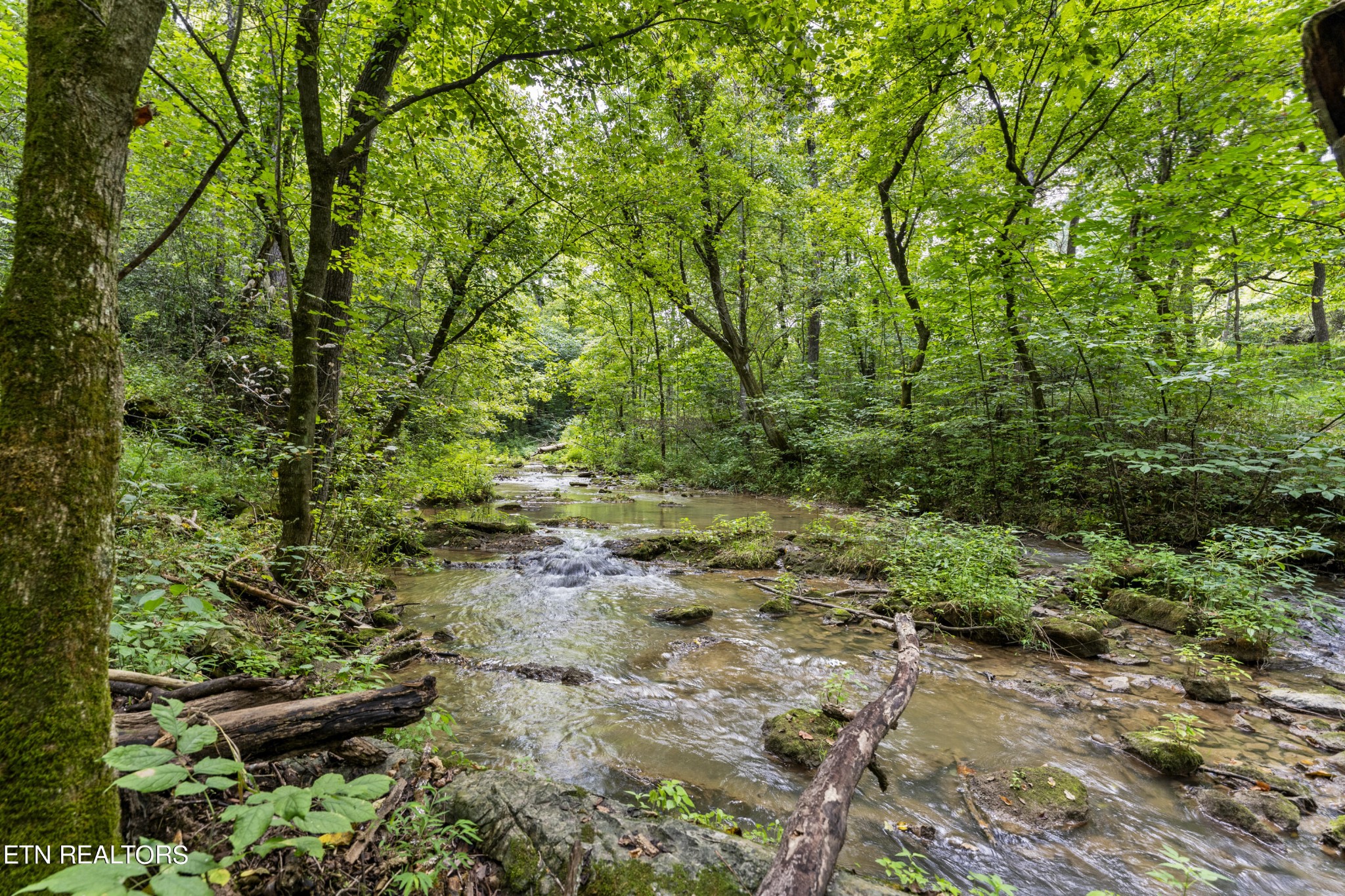 1485 Campbell Road Greeneville, TN 37745 - Photo 21 of 29 Gallery Image 21
