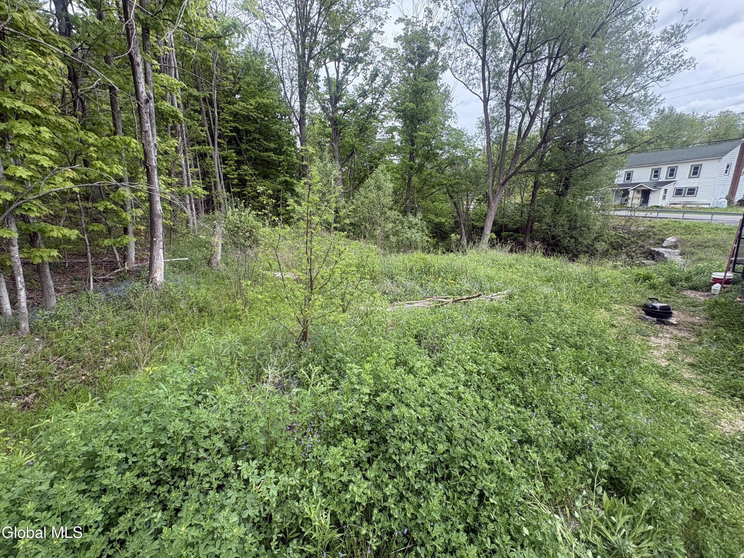 1 Mariaville Road Pattersonville, NY 12137 - Photo 1 of 25 IMG_3957