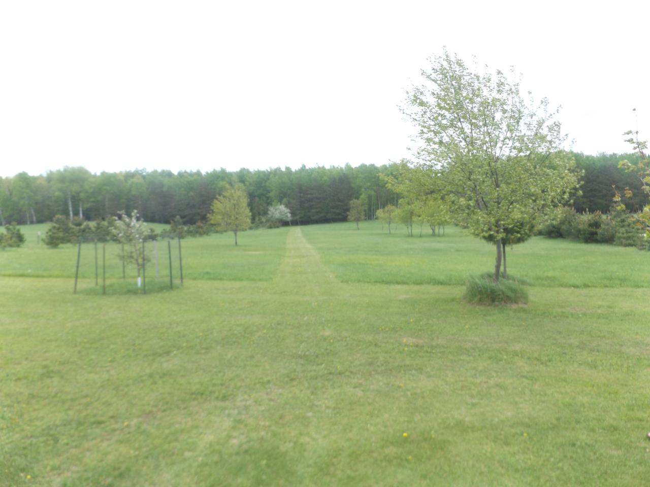4634 Roberts Lake Road Laona, WI 54541 - Photo 6 of 34 Gallery Image 6