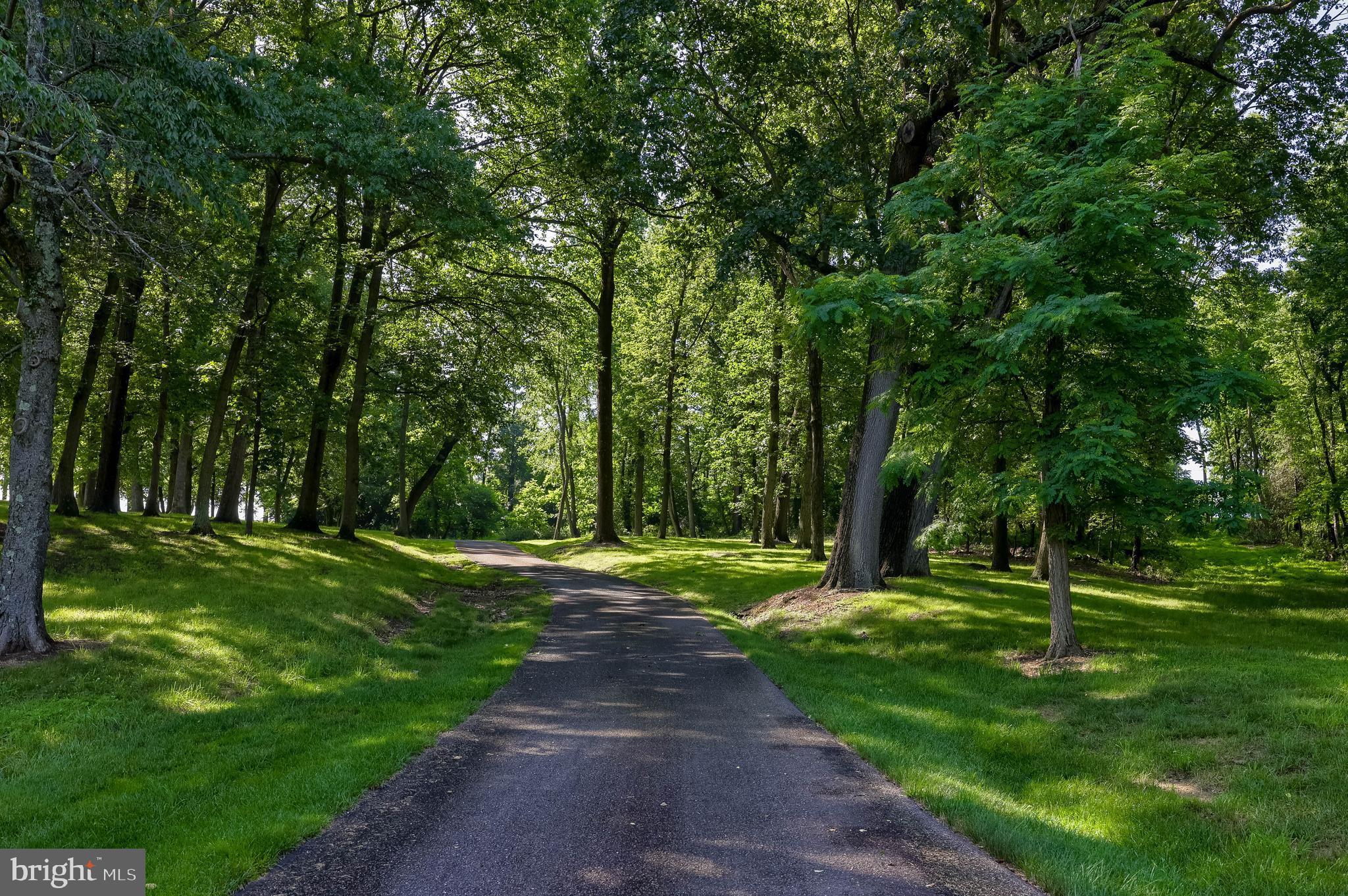 5751 Mt Pisgah Road York, PA 17406 - Photo 139 of 144 a view of a park with trees in the background