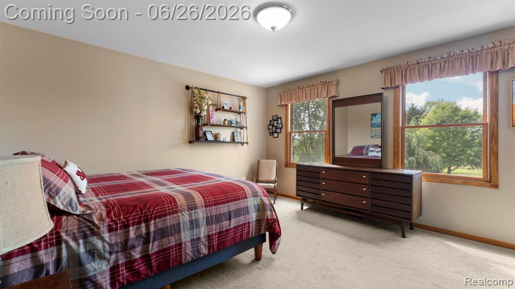344 South Truhn Road Fowlerville, MI 48836 - Photo 10 of 38