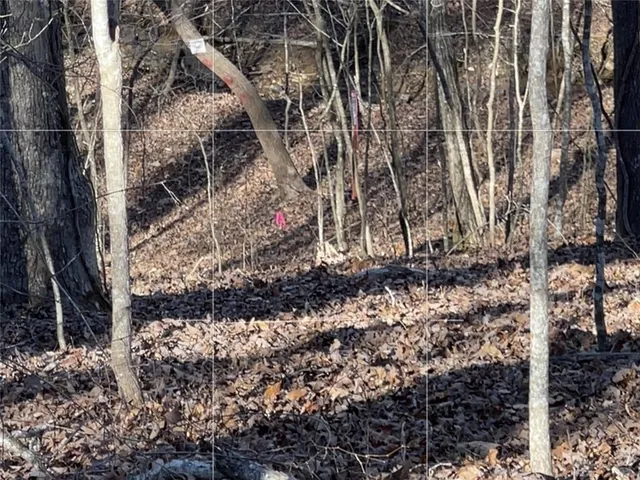 a view of backyard of the house