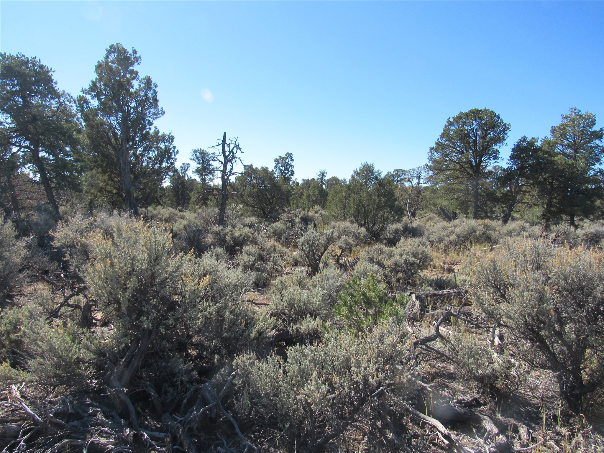 Lot 57 Servilleta Carson, NM 87517 - Photo 7 of 10