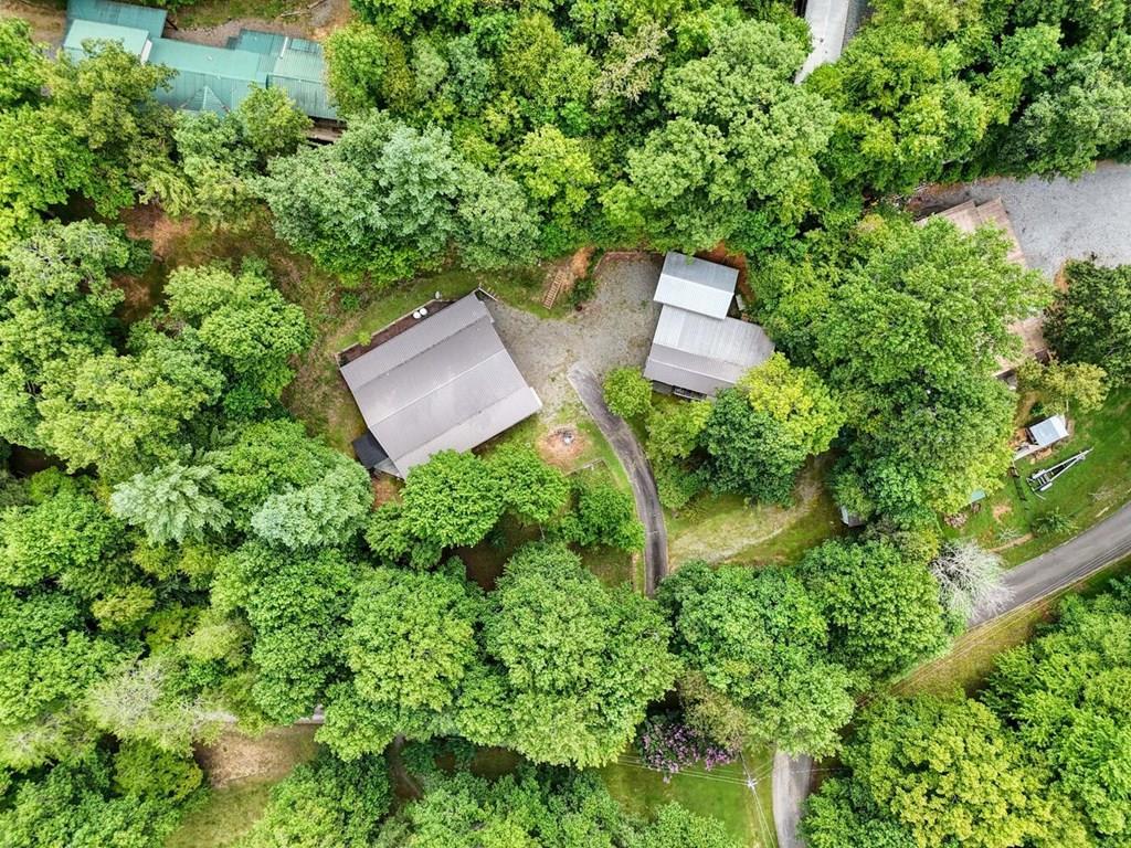 3984 Hickory Nut Road Hiawassee, GA 30546 - Photo 6 of 43 Gallery Image 6