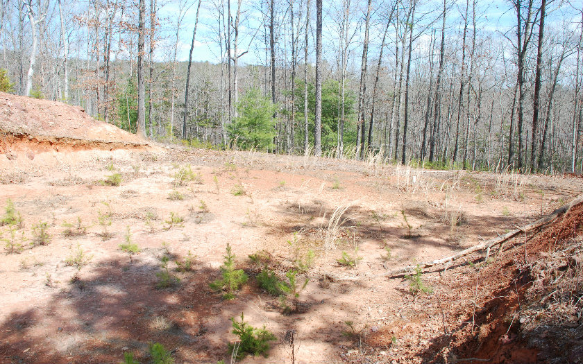 66 Mountain Tops Road Blue Ridge, GA 30513 - Photo 1 of 1 Main View