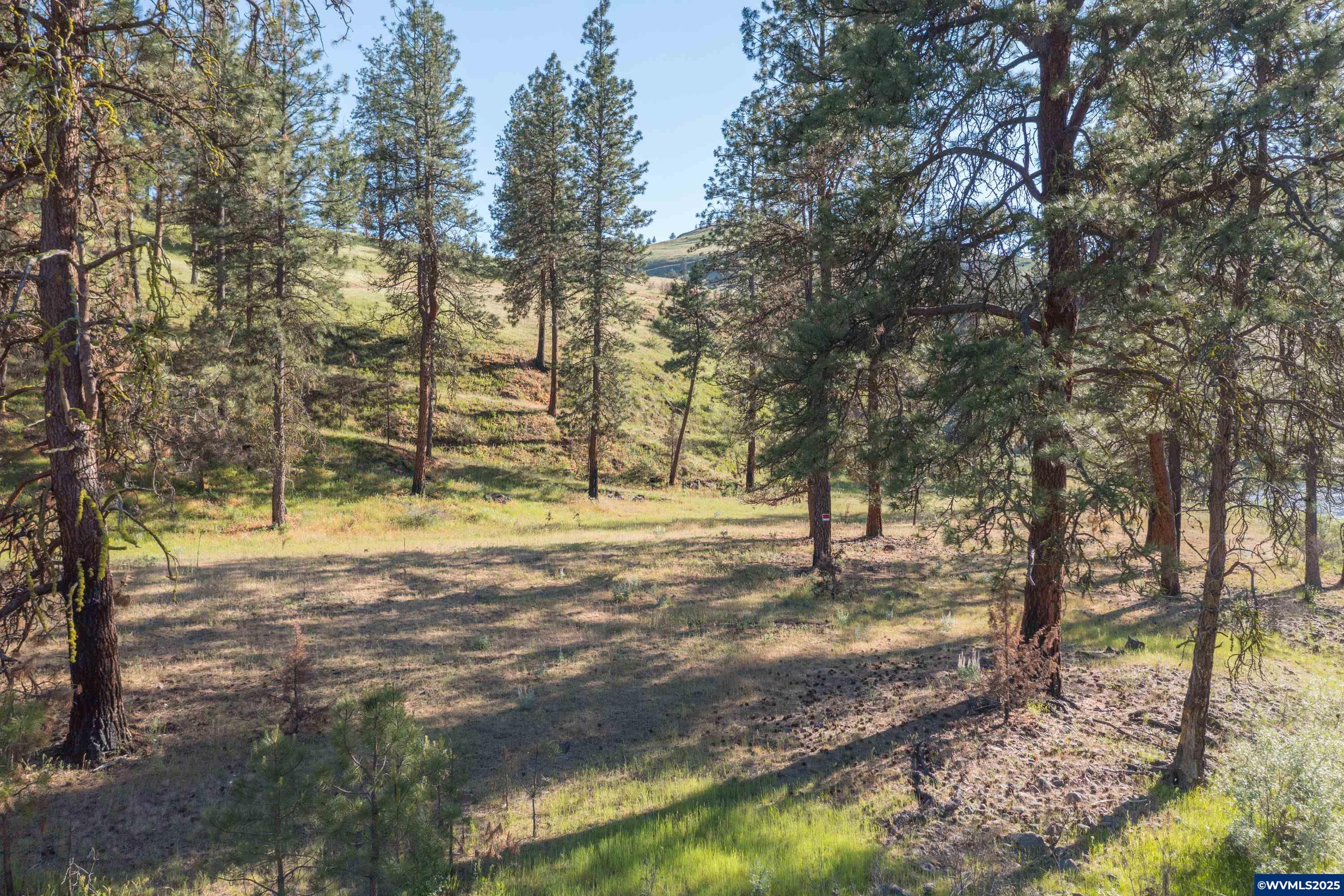 North Fork Road Long Creek, OR 97856 - Photo 22 of 50