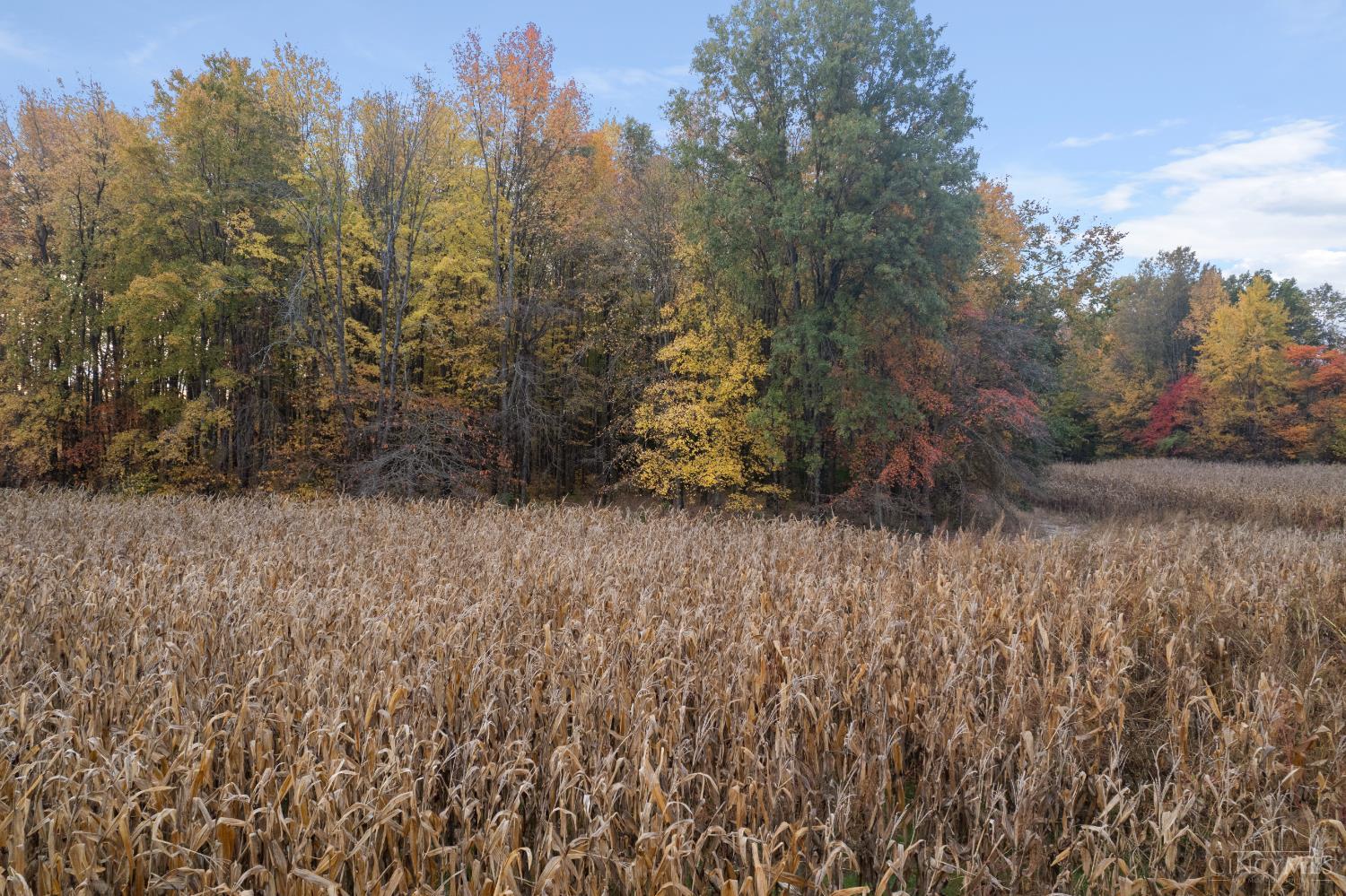 0 Colthar Road Bethel, OH 45106 - Photo 6 of 23