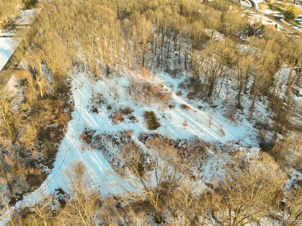 0 Pine Knob Road Clarkston, MI 48348 - Photo 8 of 12