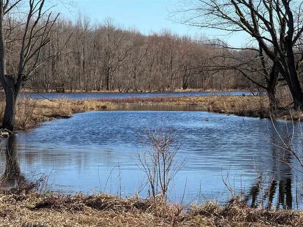 $249,900 | Vl East Dowling Road, Dowling, MI 49050