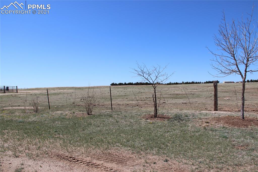 33375 Fogarty Road Calhan, CO 80808 - Photo 24 of 50 a view of a dry yard with trees in the background