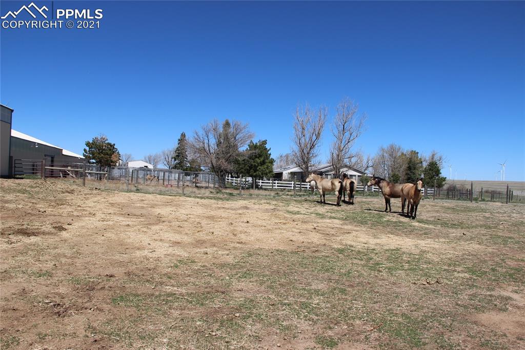 33375 Fogarty Road Calhan, CO 80808 - Photo 38 of 50 a view of a yard with an trees