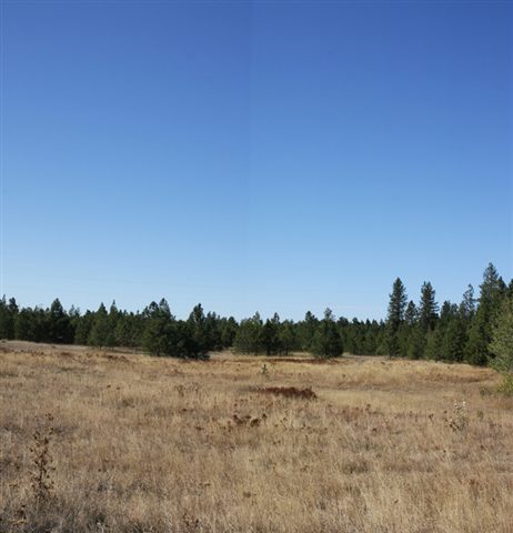 0 Stentz Road, Unit PARCEL A Spangle, WA 99031 - Photo 4 of 4