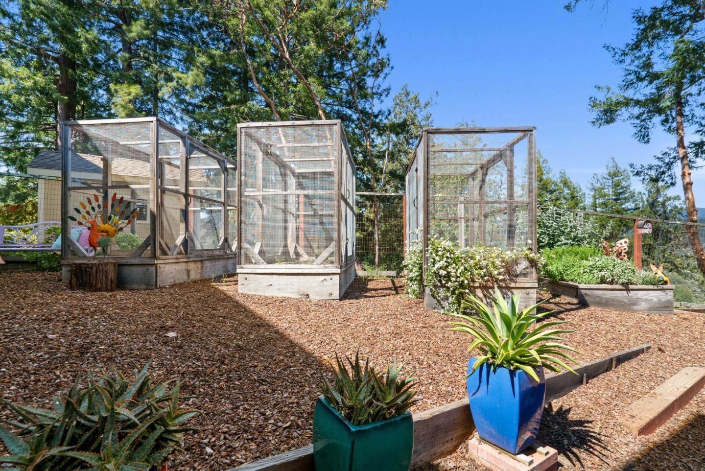 480 Quail Ridge Road Scotts Valley, CA 95066 - Photo 55 of 68 a potted plant sitting in front of a house