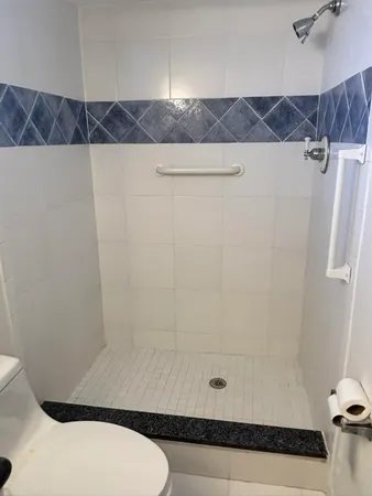 a bathroom with a shower and a toilet