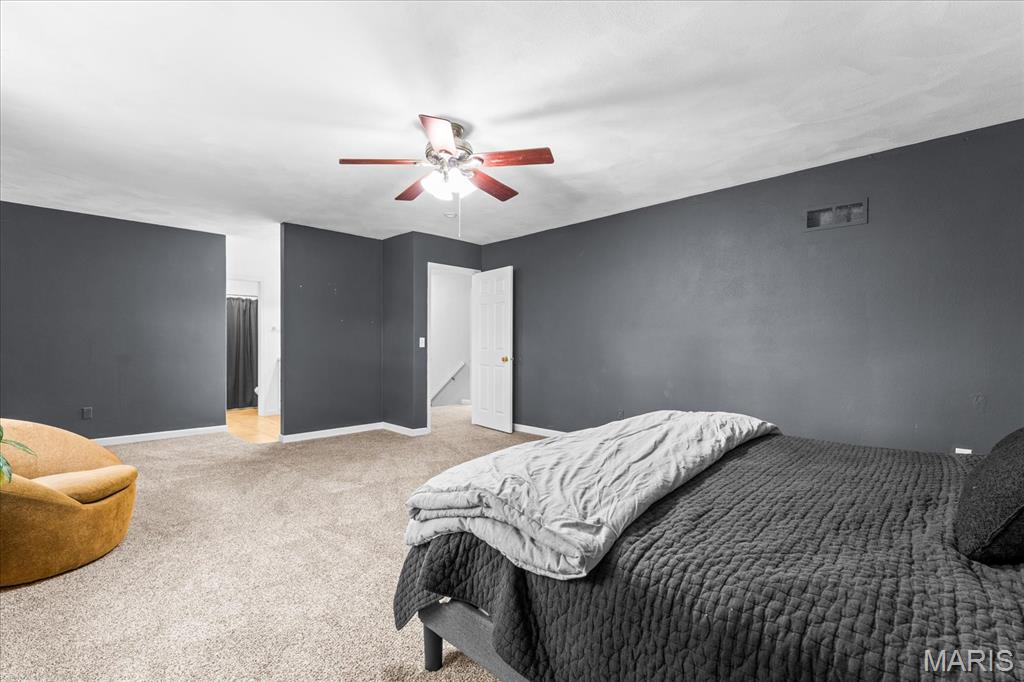 802 Reiss Road O'Fallon, IL 62269 - Photo 28 of 46