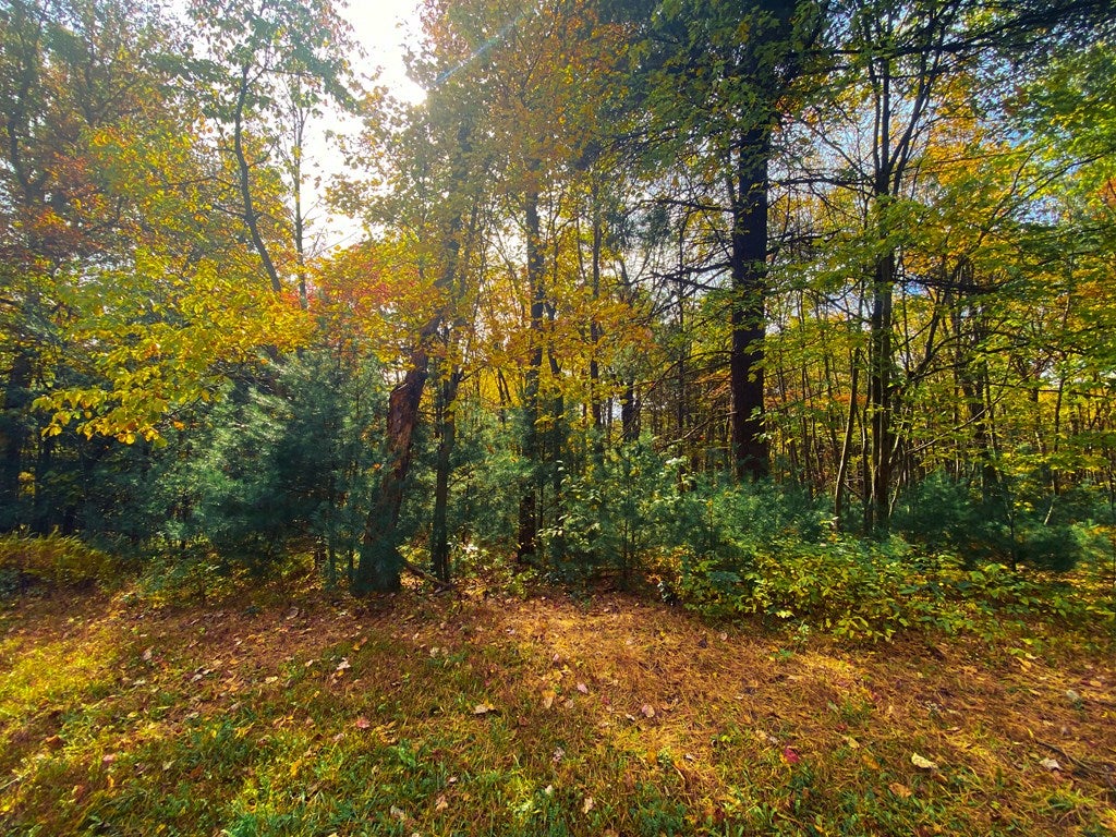 Lot #8 Longhorn Road Huntingdon, PA 16652 - Photo 6 of 14 Gallery Image 6
