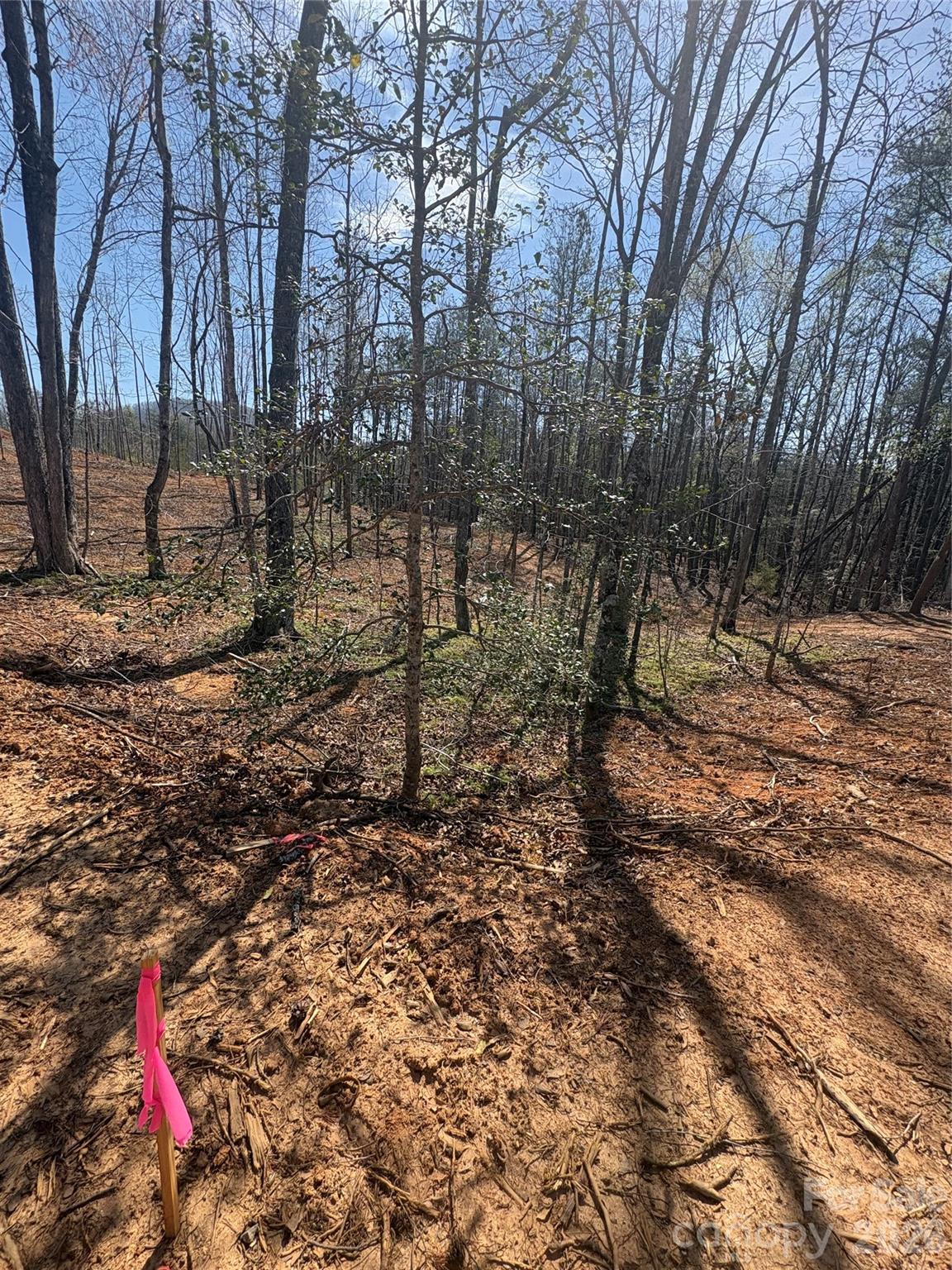 Tbd Avenida De Oro Road, Unit 2 1 Morganton, NC 28655 - Photo 2 of 2 a backyard of a house with lots of green space