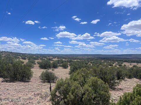 41 Indian Drive Concho, AZ 85924 - Photo 23 of 26 IMG_3689
