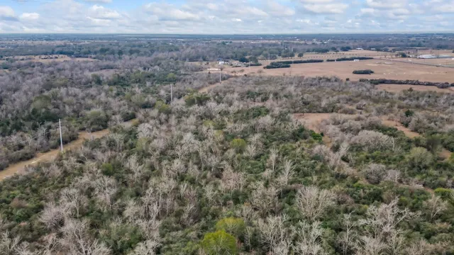 a view of beach and ocean