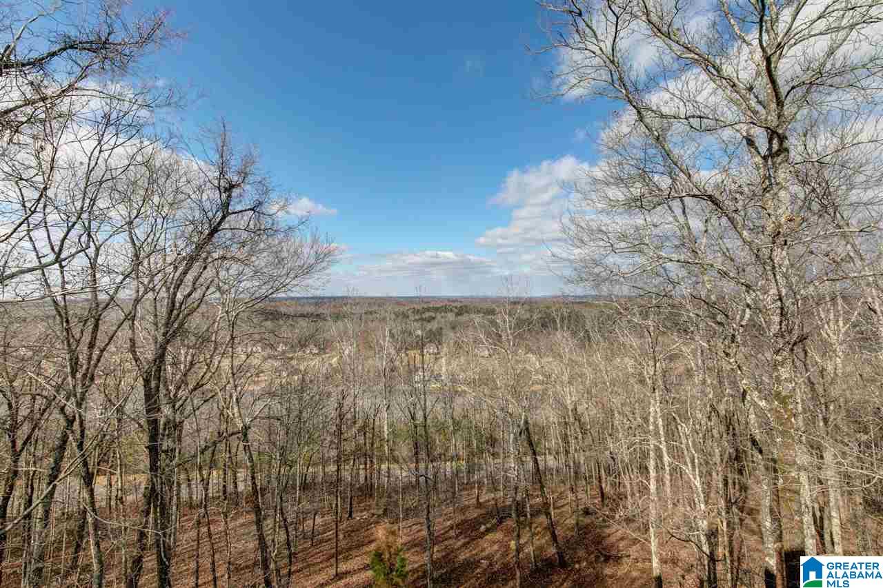 4810 South Shades Crest Road Bessemer, AL 35022 - Photo 29 of 34