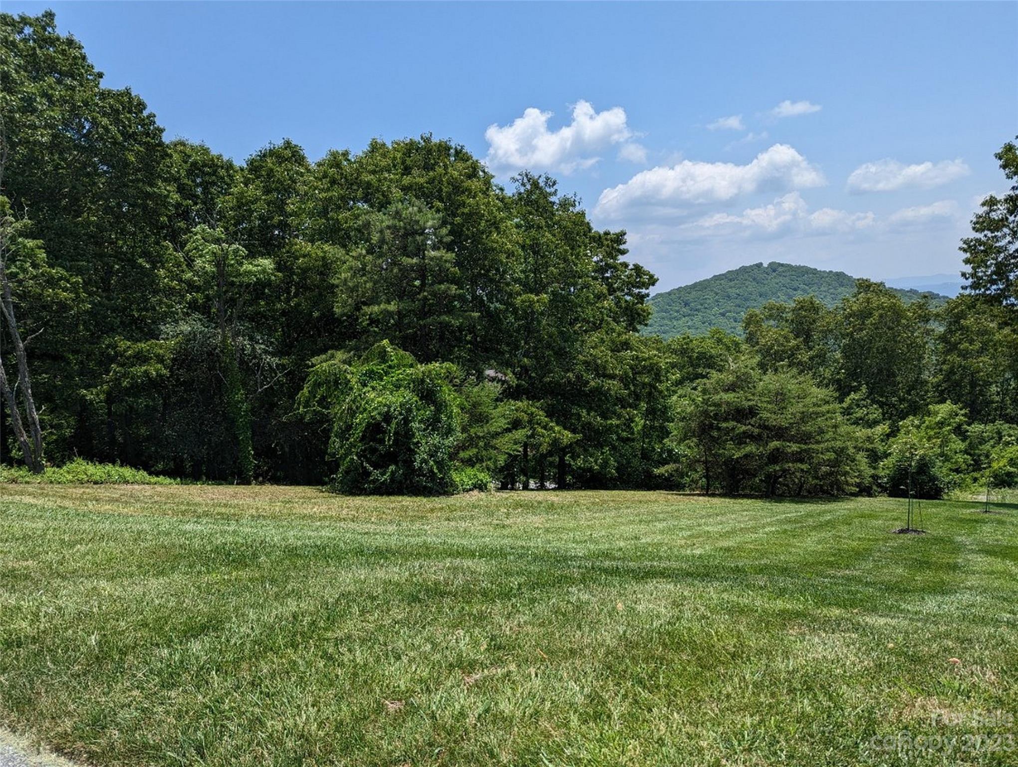 a view of a grassy field with trees in the background