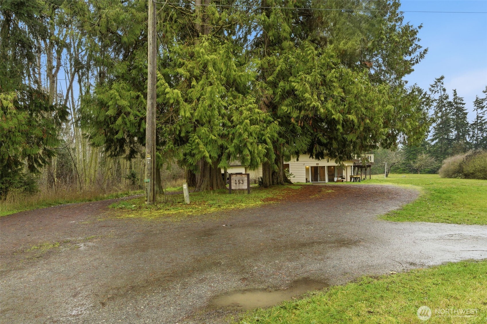 153 Davidson Drive Sequim, WA 98382 - Photo 2 of 36 a view of road with trees