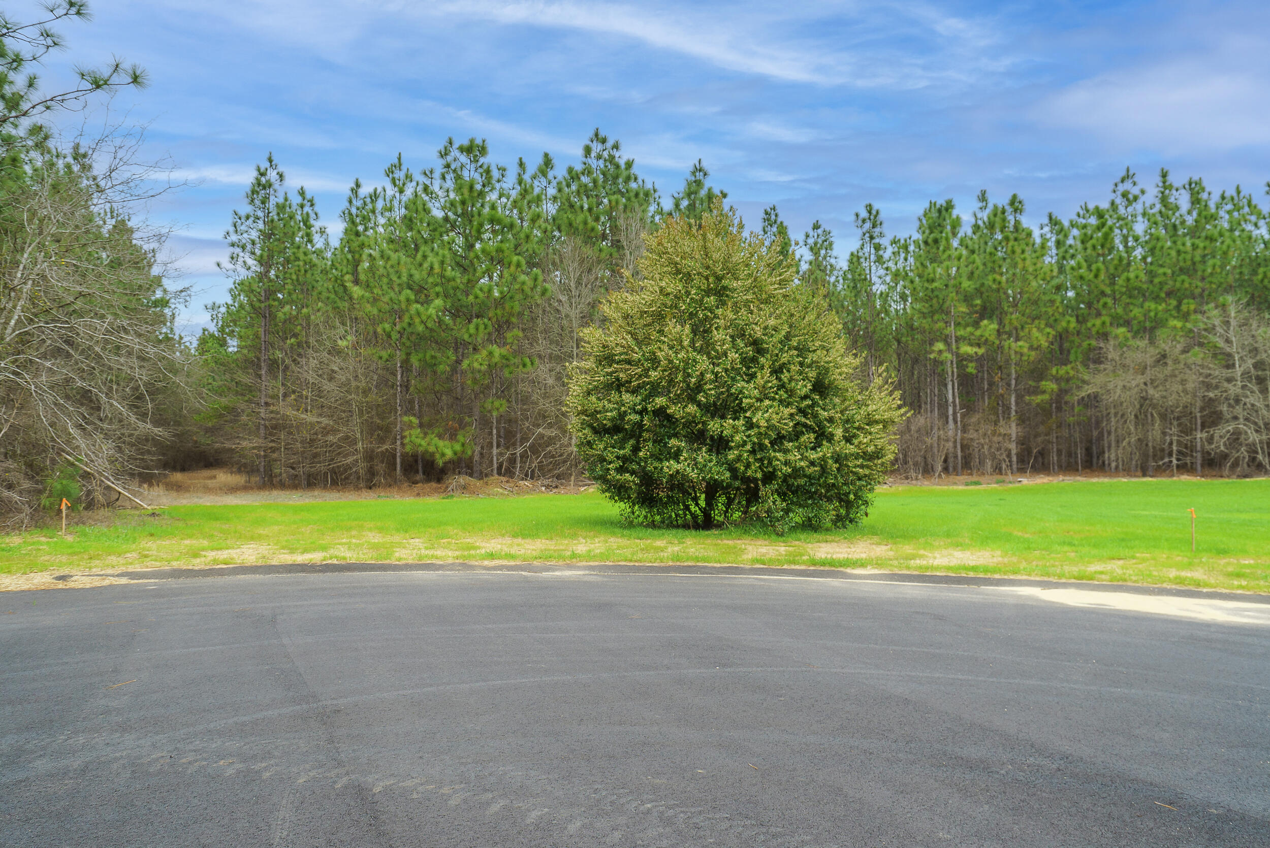 Lot 4-1 Simonside Court Aiken, SC 29803 - Photo 7 of 31