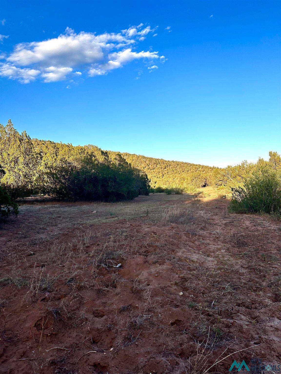 0 West Sena Ranch Road Serafina, NM 87569 - Photo 16 of 26 Gallery Image 16
